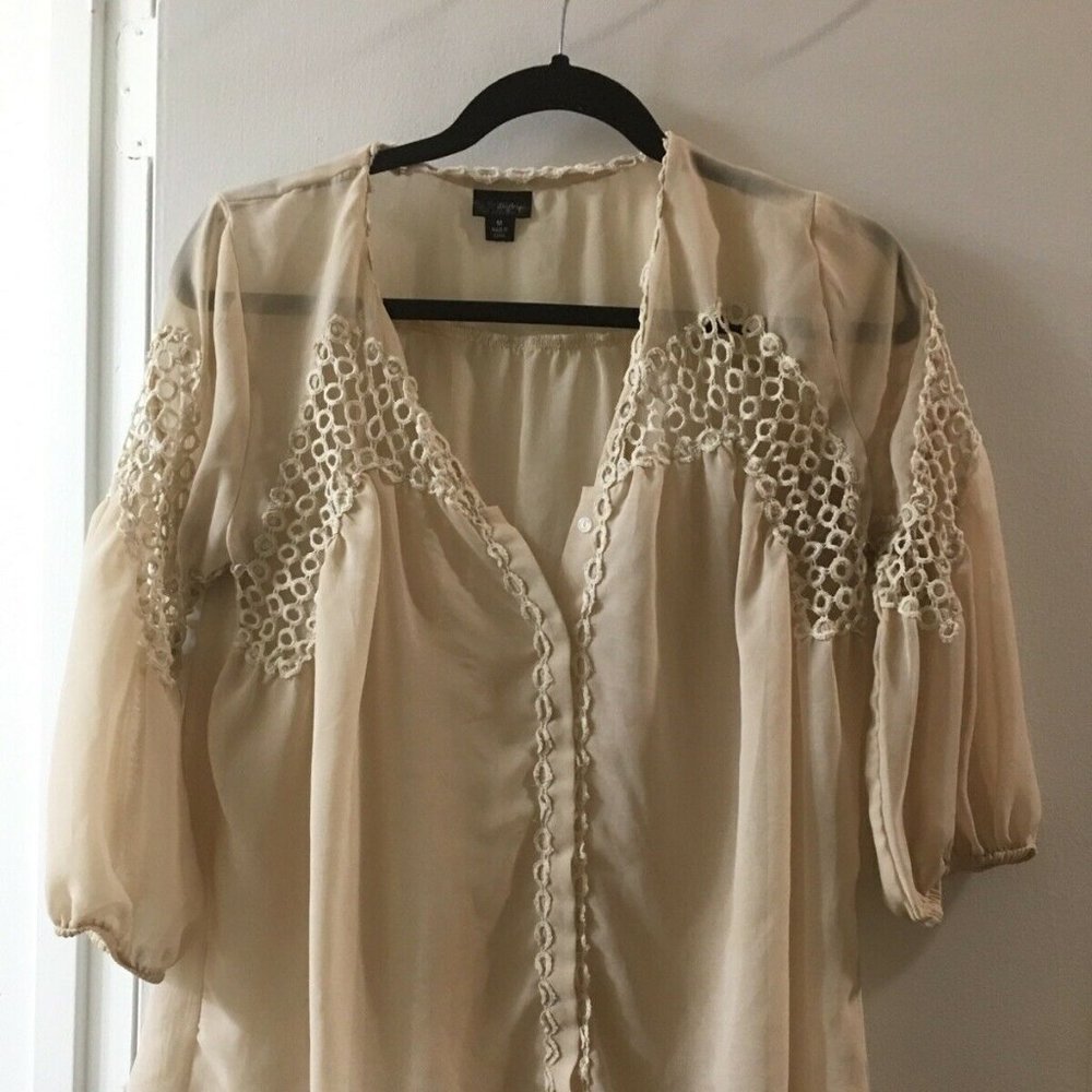 Daytrip Sheer Long Sleeve Button Down Blouse